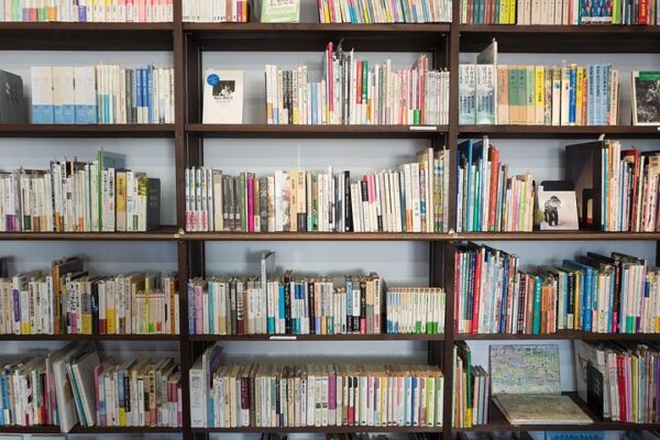 books-1245744__480